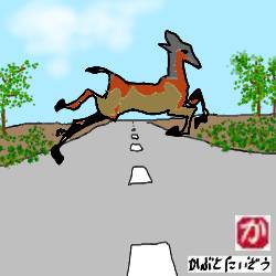 道路に鹿が飛び出す:kabutotai.net